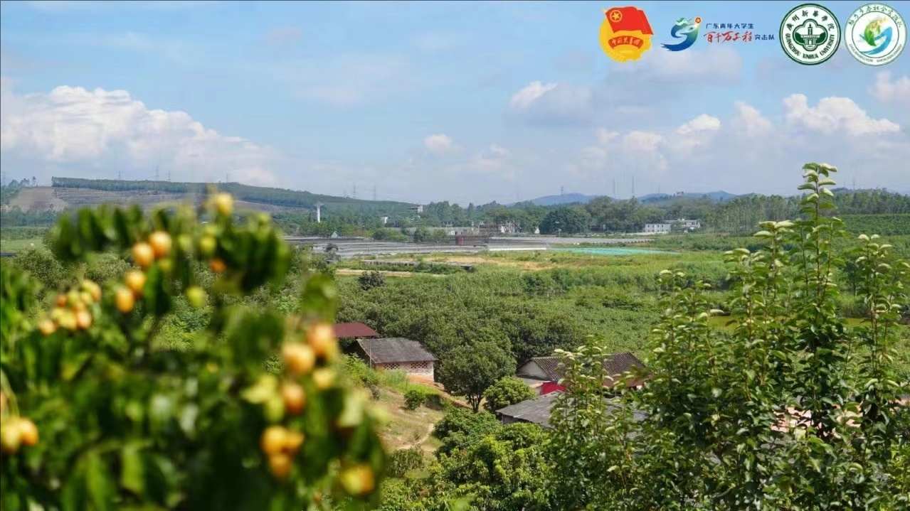 【百千萬工程 — 助力鄉春】果香滿園迎賓至，什石園村展新顏