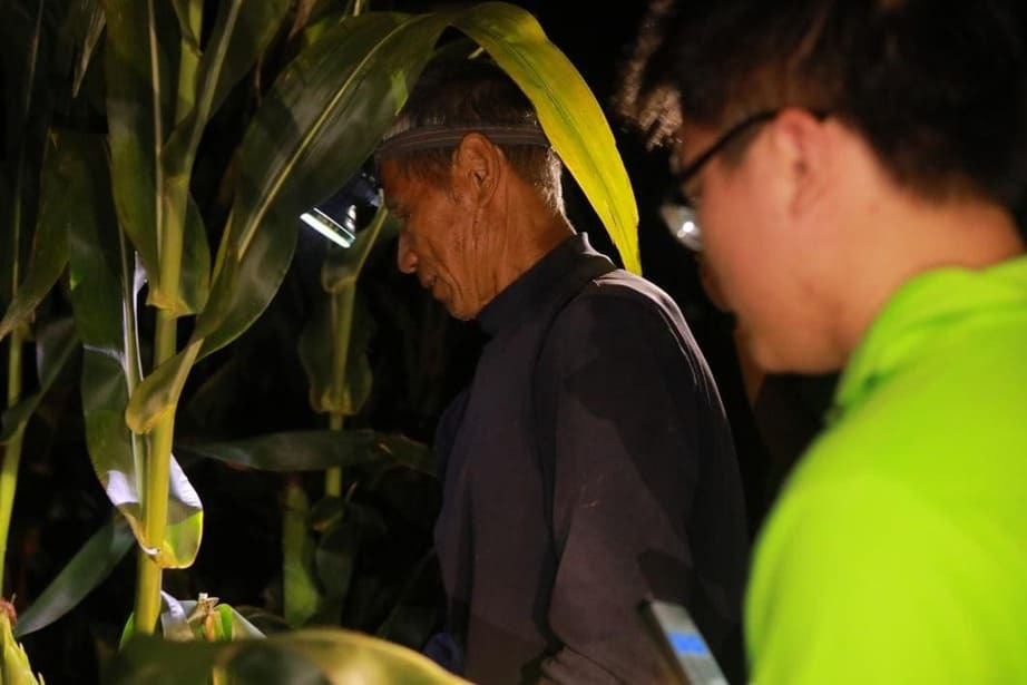 振興“湘”村，“鄉”約祁東：湖南工商大學星火下鄉隊深入祁東縣探尋黃花菜產業數字化轉型之旅