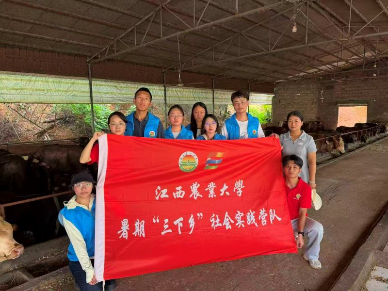 圖為隊員們參觀牛犇肉牛養殖場與村干部留影