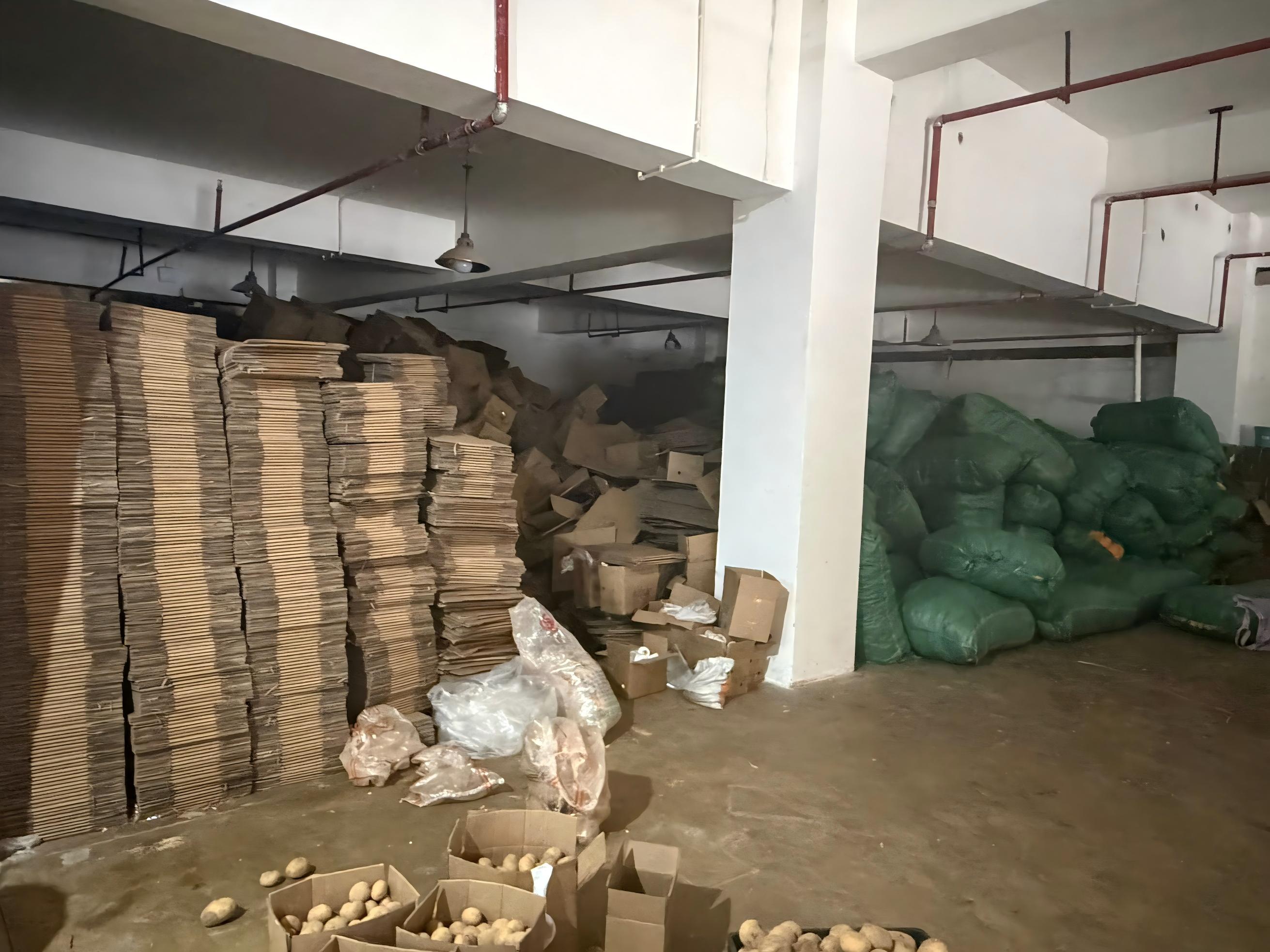 青春“三下鄉”丨一塊屏幕連兩端：中南大學實踐團在花柱村探尋鄉村振興新路徑