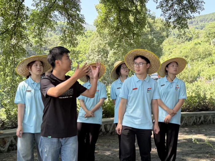 尋訪百年古樹文脈 深挖鄉土振興底蘊 ——“星耀南桐，語潤鄉心”實踐團調研鄉村生態文化資源