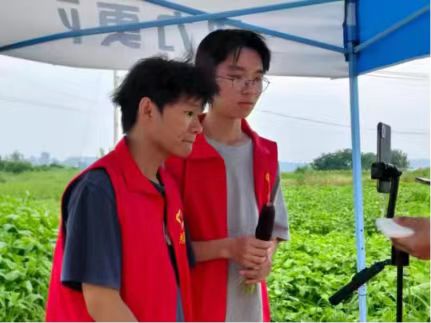 直播助農(nóng)拓銷路青春實踐促振興