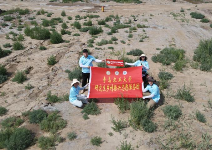 深入東營(yíng)鹽堿地、探索生態(tài)改良新方案