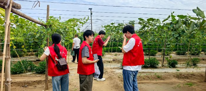 躬行田間覓葫韻 山理大學子調研葫蘆產業數字化發展現狀
