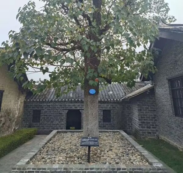 賡續紅色血脈：淮師實踐團隊探訪張治中故居傳承愛國精神