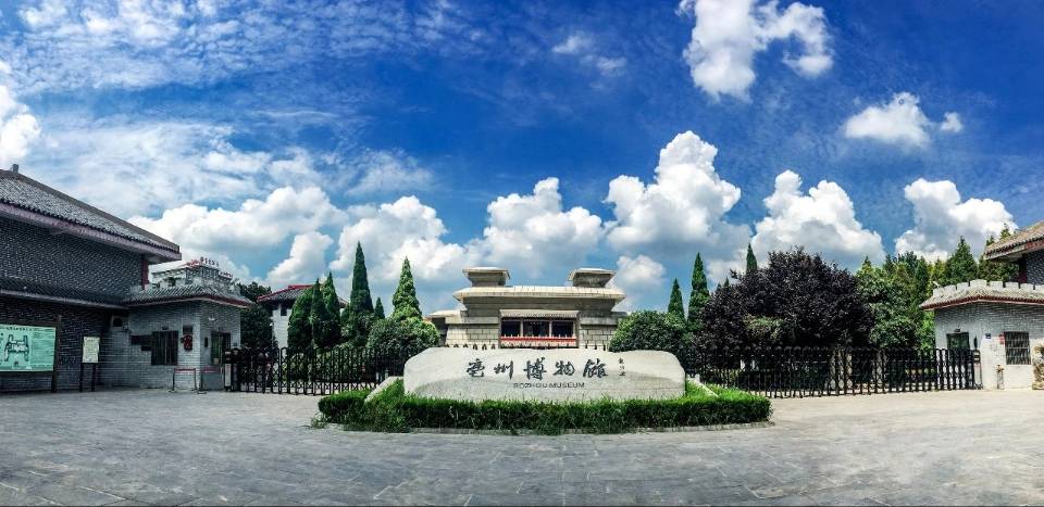 淮師學子三下鄉∶深耕亳州沃土，聚焦博物館紅跡