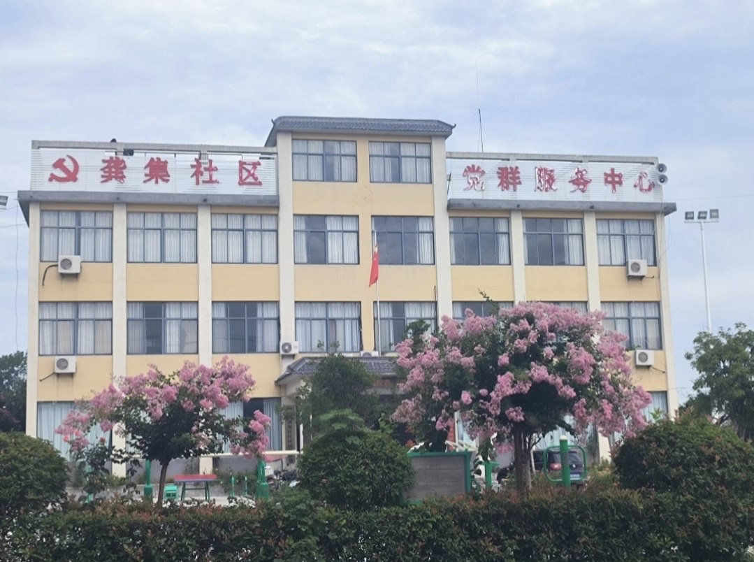 傾聽龔集村村支書，了解的鄉村振興之路