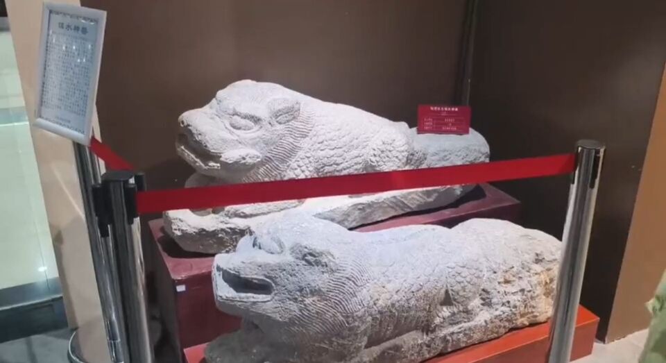 圖為泗縣博物館內出土于古汴河遺址的宋代青石趴蝮鎮水神獸。(劉家敏 供圖)