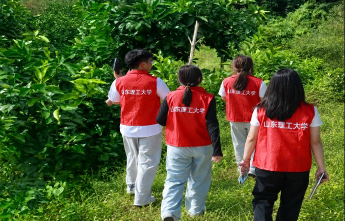 山東理工大學管理學院循“蒙”而行實踐團赴瑞金市黃柏鄉(xiāng) 坳背崗萬畝臍橙基地開展實踐調(diào)研