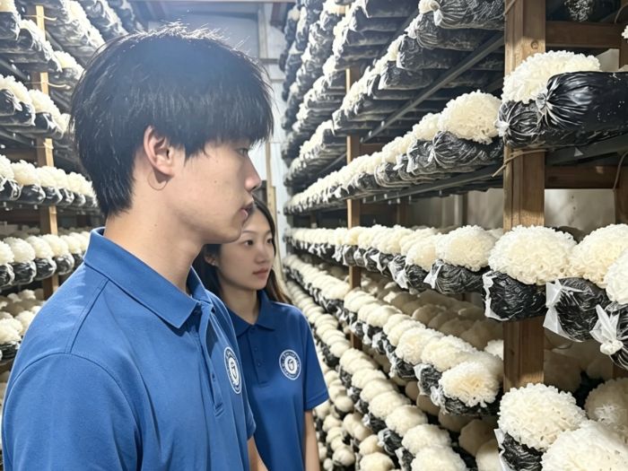 八閩探產業，直播興鄉村 ——閩大學子“山海協奏，產研助農”實踐隊探尋鄉村特色產業發展之路