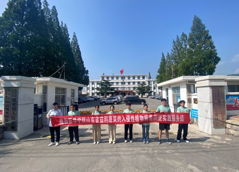 青島農業大學植物醫學學院山東省茄科蔬菜的入侵性植物病毒調查服務團 —— 攜夢下鄉，共繪鄉村振興新篇章