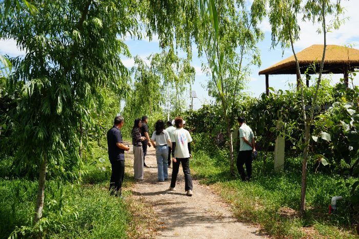 青年下鄉 鏡頭定格廣濟鄉村振興 | 強國有我實踐團丈量秦嶺間的振興答卷