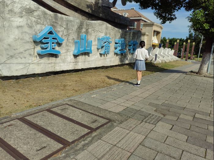 金山嘴漁村生態轉型調研：志愿者團隊揭示“文旅興村”實踐