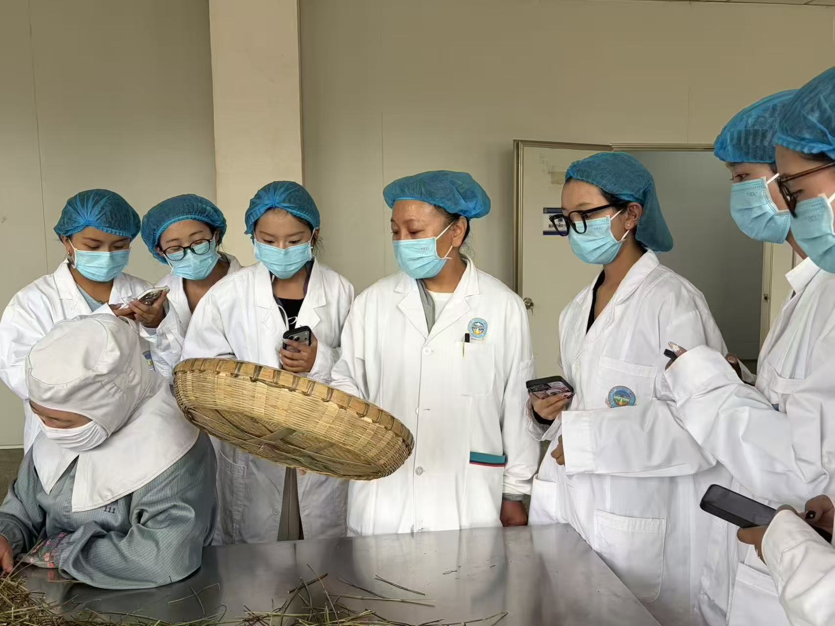 古老智慧，生生不息——藏韻小分隊探尋藏醫(yī)藥的健康密碼