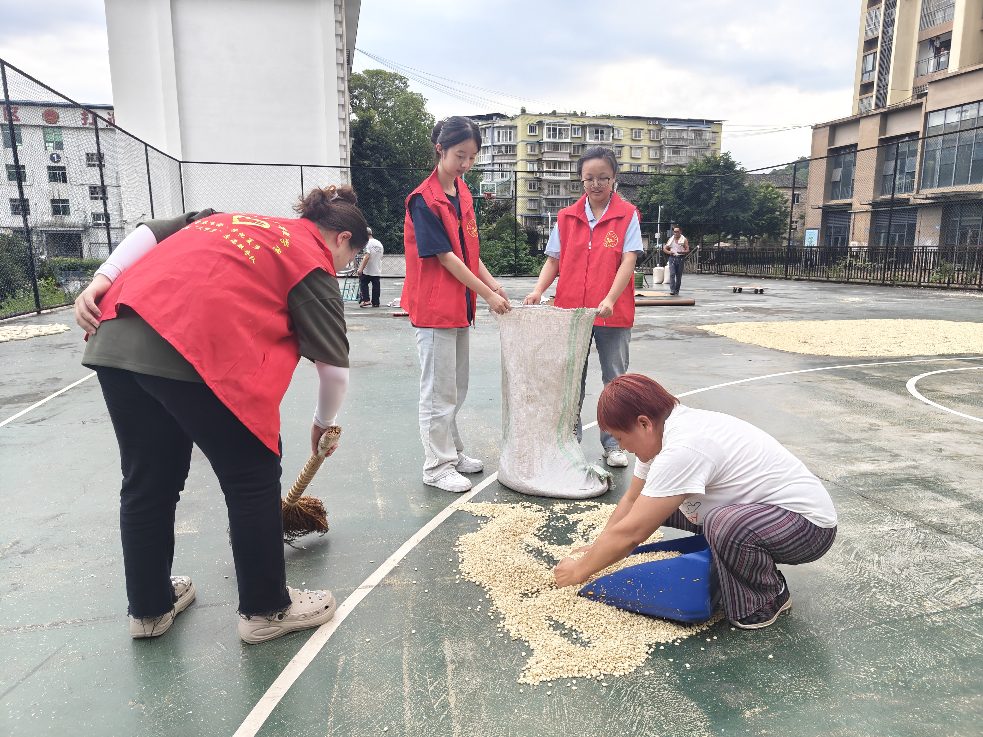 玉米豐收愛心助，老人飯食關懷來