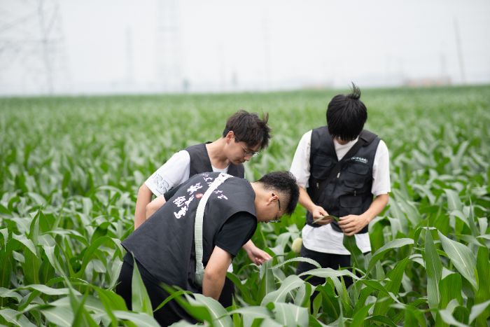 科技紙鳶實(shí)踐團(tuán)隊(duì)開展對(duì)農(nóng)作物種植情況和基礎(chǔ)設(shè)施的無(wú)人機(jī)圖像采集工作