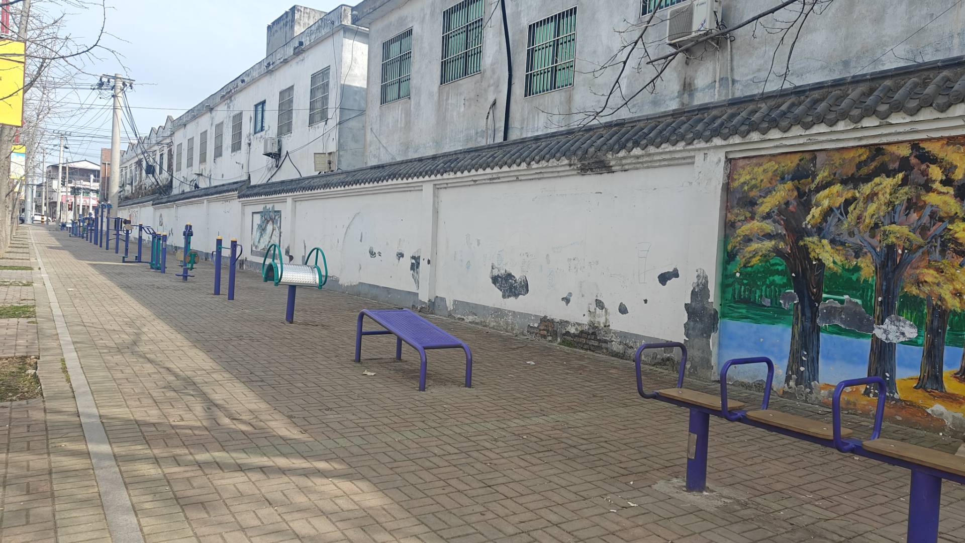 鄉約青春助振興 實干篤行建家鄉