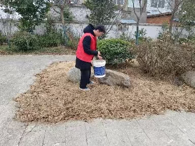 返家鄉新聞稿