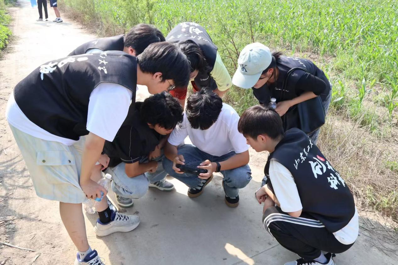 山東理工大學“科技紙鳶”實踐團在馬武營村開展電力線路周邊環境巡查