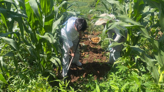 踏訪沃野察農情 躬行鄉土助增收