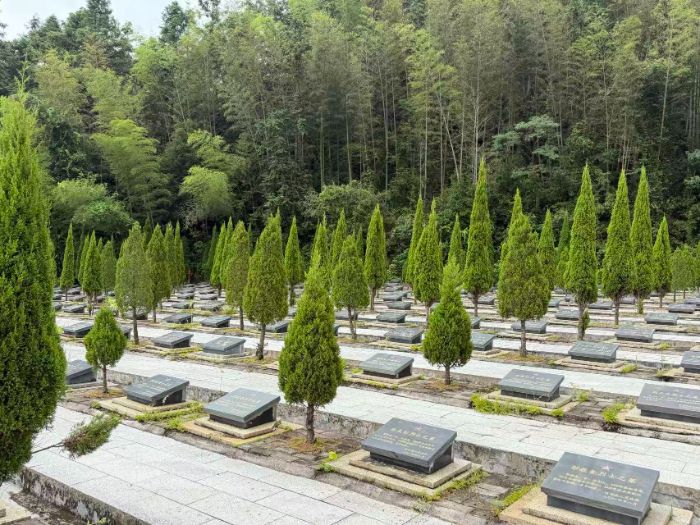 踏跡油山烽煙地，寄懷英烈青松間 ——“鄉野守望” 實踐團赴紀念園追思革命紅色印記