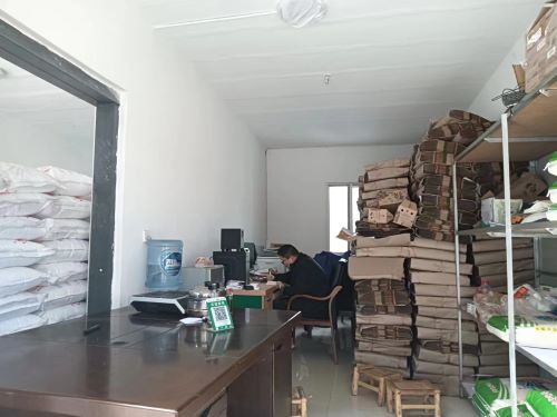 與時代同行，為家鄉添彩——返家鄉樹新風社會實踐團開展大學生“返家鄉”社會實踐活動