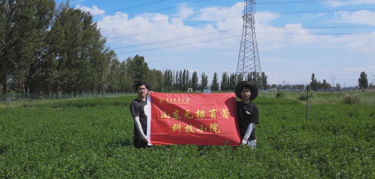 草原深處尋“綠寶”，青島農大助力草地農業可持續發展