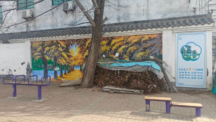 青春助農暖鄉梓，淮北師范大學學子多措并舉賦能鐵佛鎮鄉村全面振興