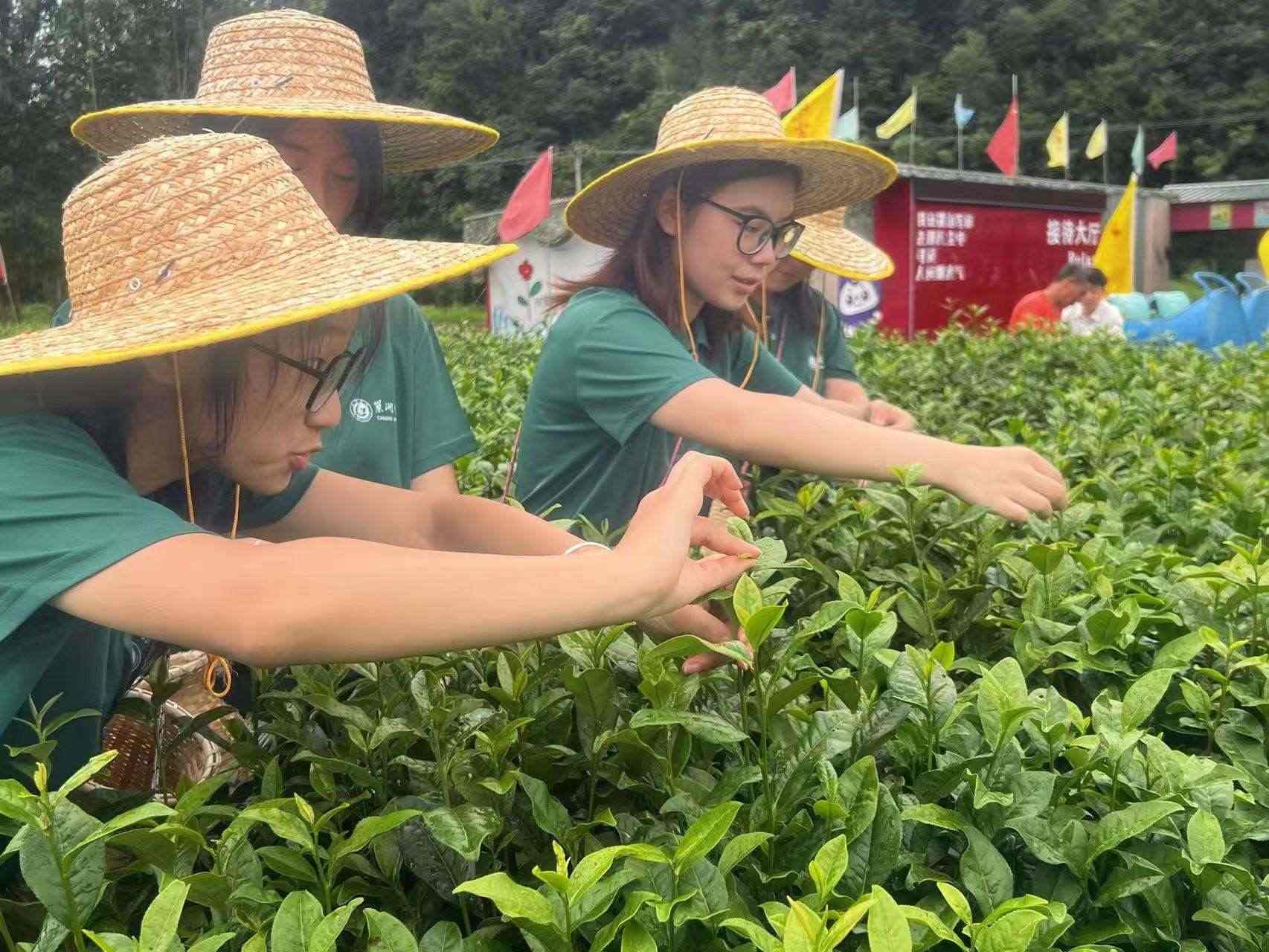 茶禮傳承，茶德體悟