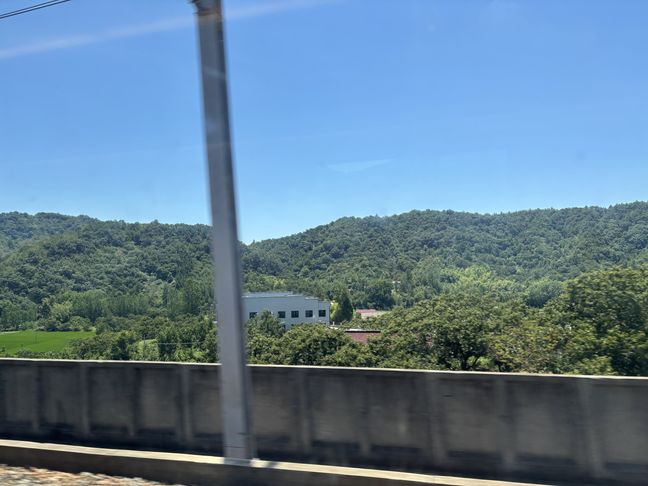 安徽六安大橋畔村：生態蝶變繪就鄉村新圖景