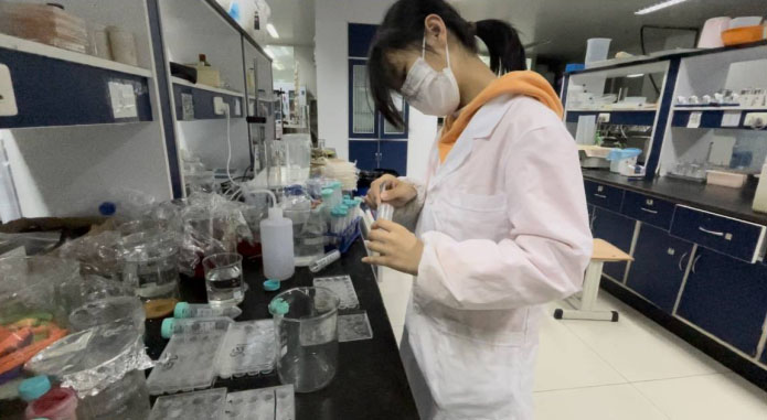 山東大學（威海）“菌子之膠”科研實踐活動團隊完成水凝膠的實驗室實驗制備工作