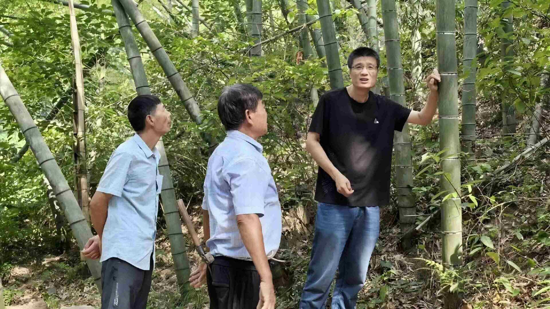 文興賦能鄉村實踐團了解到的岳晉軍與村民實地調研當地竹情的經歷
