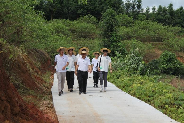 探尋李果秘，賦能鄉村興——記螢火青年突擊隊三華李調研活動