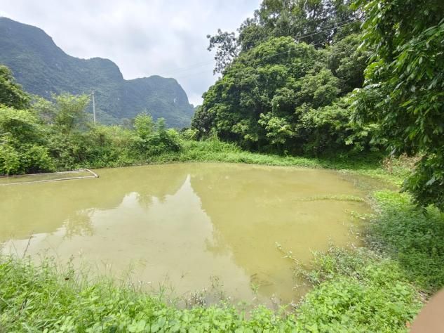 【國門黨建】顯微探自然，紅心守國門——廣西民族師范學院實踐隊開展三下鄉邊疆生態實踐活動