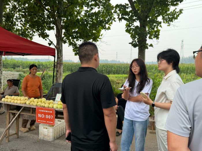破局“有名無(wú)量”探尋振興新徑 山東德州黃河涯鎮(zhèn)農(nóng)文旅與合作社調(diào)研