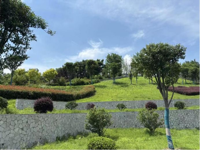巢湖學院：探索生態(tài)修復(fù)與文化傳承之路