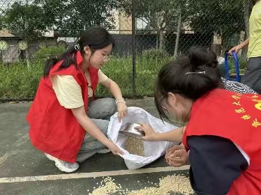 青春力量聚空地，齊心收集玉米粒
