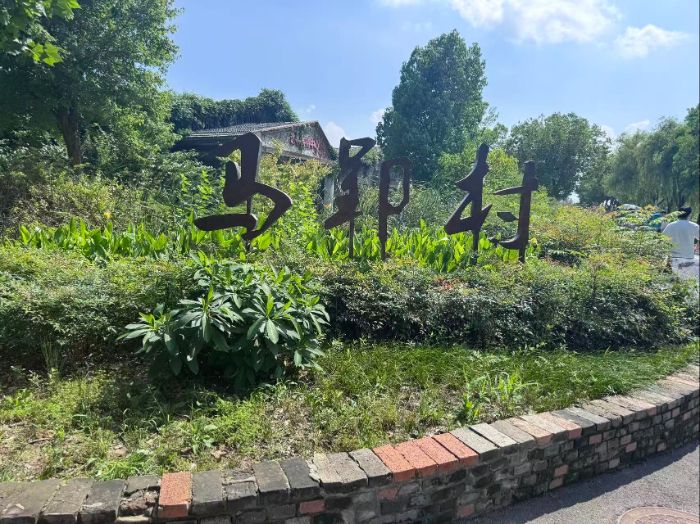 尋訪校友足跡 探訪振興樣板——走進馬郢村感悟鄉(xiāng)村蝶變之路