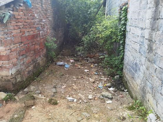 守護地球，共建綠色家園