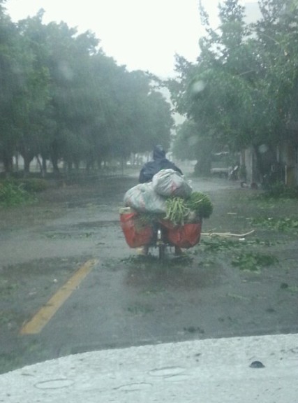 犀利哥，賣菜風吹雨打都不怕
