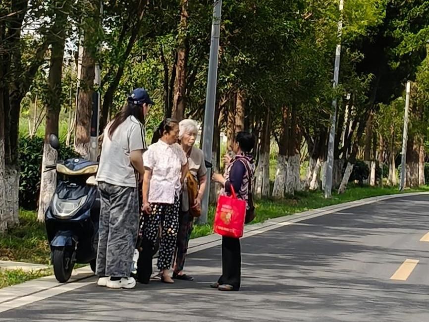 下鄉研土地根脈，螢火助鄉村振興