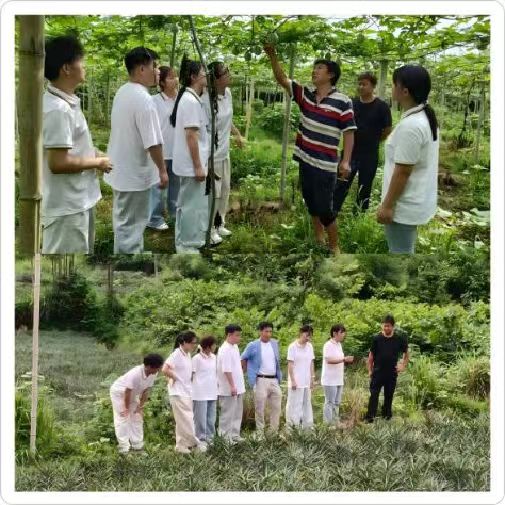 WPS拼圖1