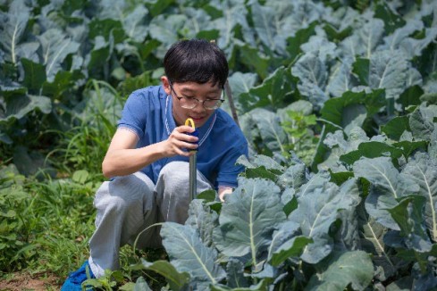 新農人、新思路 帶農走上新道路——記天津工業大學光雨潤禾團隊謝志明